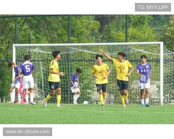 温和球足球掀起绿色运动新风潮引领全民健康与友谊新时代